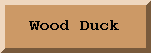 Wood Duck