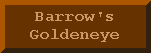 Barrow's Goldeneye