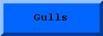 Gulls